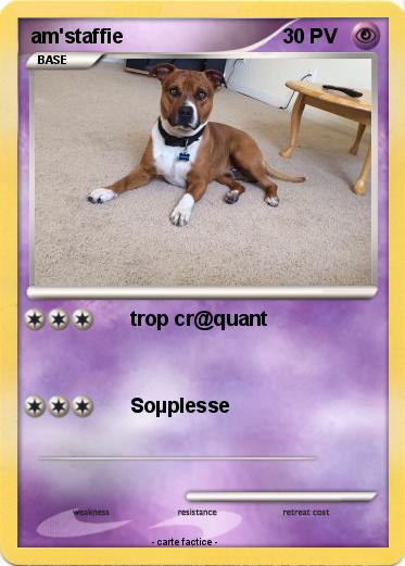 Pokemon am'staffie
