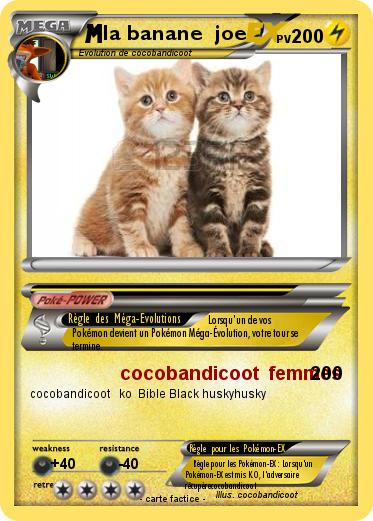 Pokemon la banane  joe