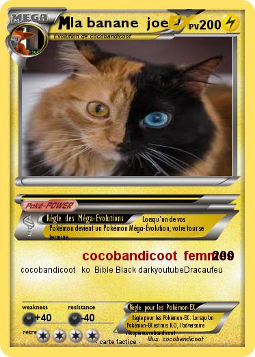 Pokemon la banane  joe