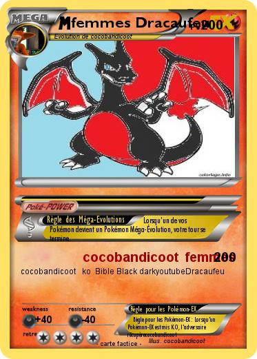 Pokemon femmes Dracaufeu