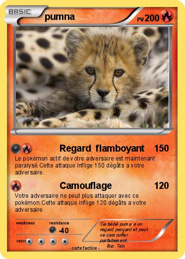 Pokemon pumna