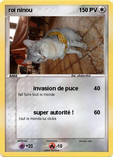 Pokemon roi ninou