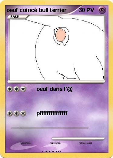 Pokemon oeuf coincé bull terrier