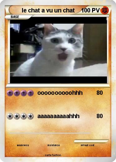 Pokemon le chat a vu un chat