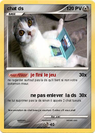 Pokemon chat ds