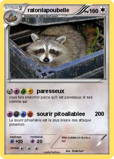 Pokemon ratonlapoubelle