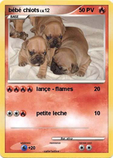 Pokemon bébé chiots