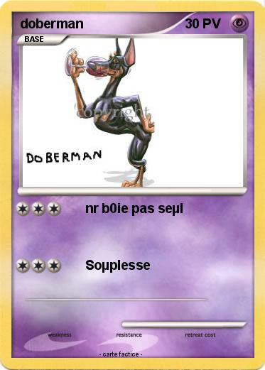 Pokemon doberman