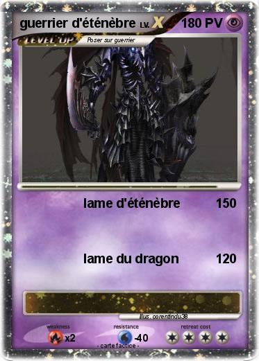 Pokemon guerrier d'éténèbre