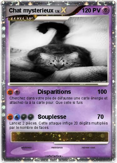 Pokemon Chat mysterieux