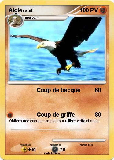 Pokemon Aigle