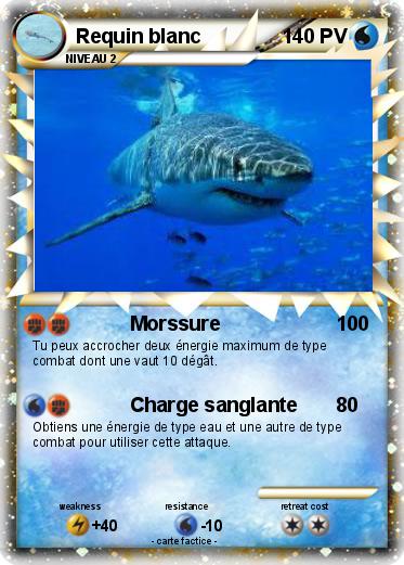 Pokemon Requin blanc
