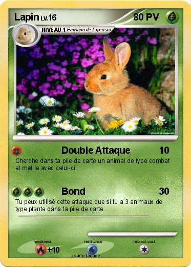 Pokemon Lapin