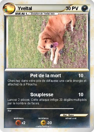 Pokemon Yveltal