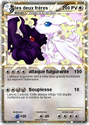 Pokemon les deux frères
