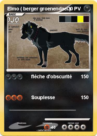 Pokemon Elmo ( berger groenendael )