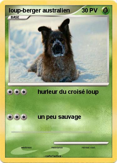 Pokemon loup-berger australien