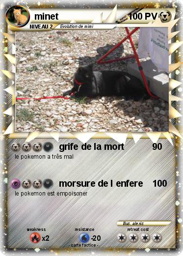 Pokemon minet