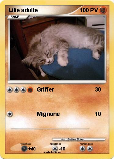 Pokemon Lilie adulte