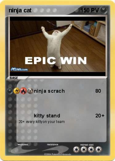 Pokemon ninja cat