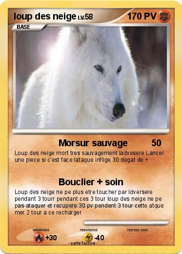 Pokemon loup des neige