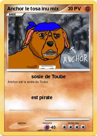 Pokemon Anchor le tosa inu mix
