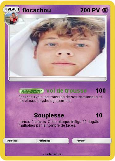 Pokemon flocachou