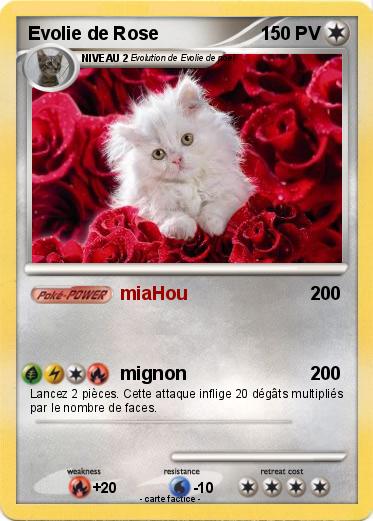 Pokemon Evolie de Rose