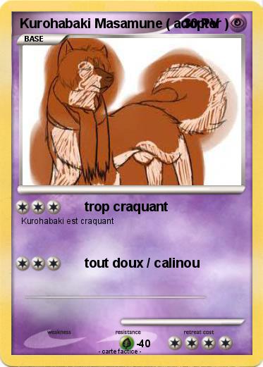 Pokemon Kurohabaki Masamune ( adopter )