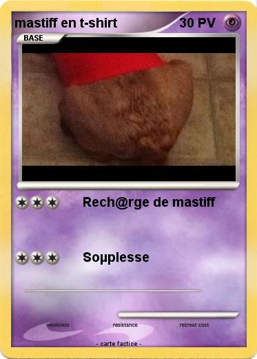 Pokemon mastiff en t-shirt