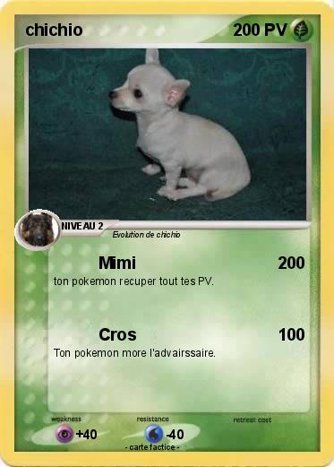 Pokemon chichio