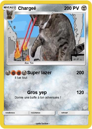 Pokemon Chargeé