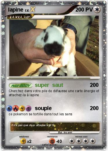 Pokemon lapine