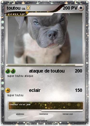 Pokemon toutou