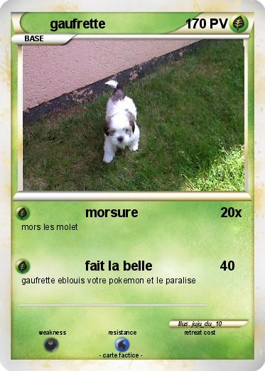Pokemon gaufrette