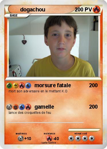 Pokemon dogachou