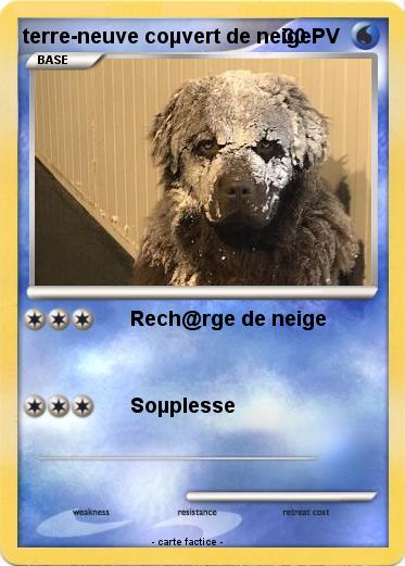 Pokemon terre-neuve coµvert de neige