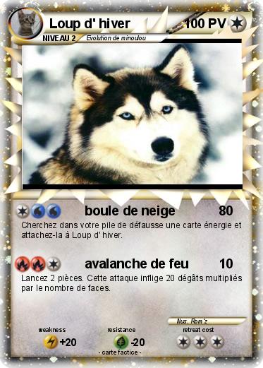 Pokemon Loup d' hiver