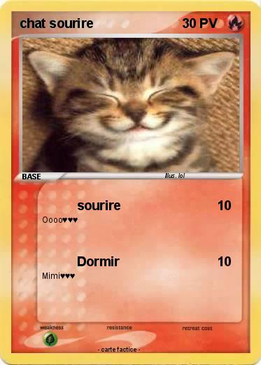 Pokemon chat sourire