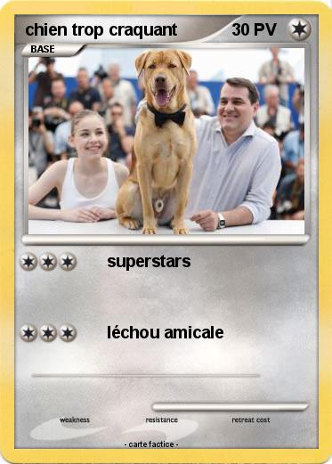 Pokemon chien trop craquant