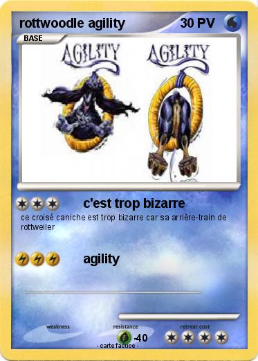 Pokemon rottwoodle agility