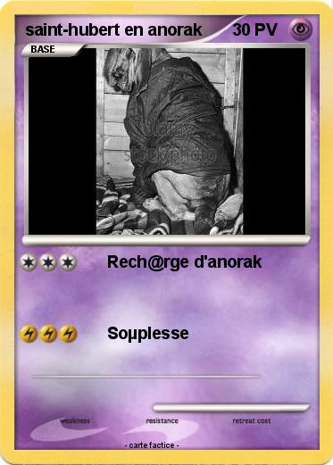 Pokemon saint-hubert en anorak