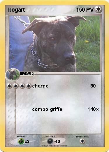 Pokemon bogart