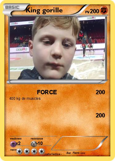 Pokemon King gorille