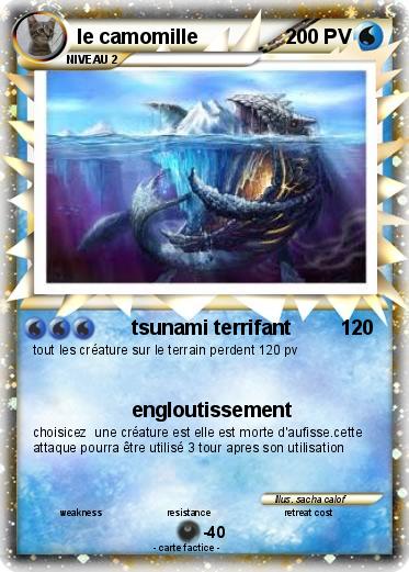 Pokemon le camomille