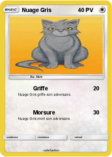 Pokemon Nuage Gris