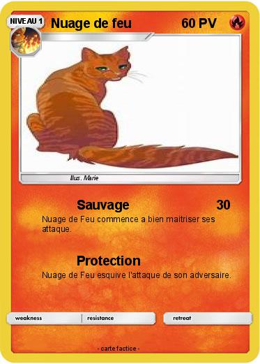 Pokemon Nuage de feu