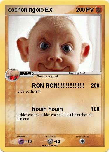 Pokemon cochon rigolo EX