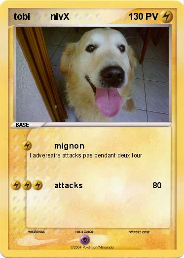 Pokemon tobi        nivX