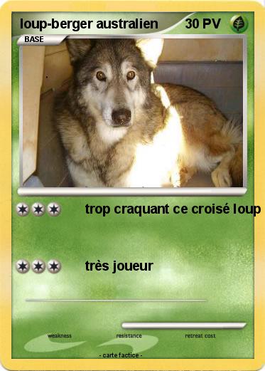 Pokemon loup-berger australien